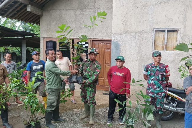 Babinsa Koramil 01/Banjarnegara Bersama Warga Lakukan Penghijauan di Kawasan Hutan Lindung Desa