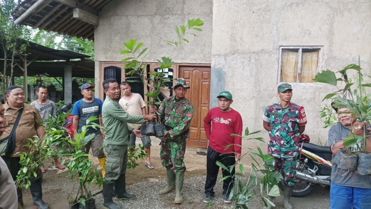Babinsa Koramil 01/Banjarnegara Bersama Warga Lakukan Penghijauan di Kawasan Hutan Lindung Desa