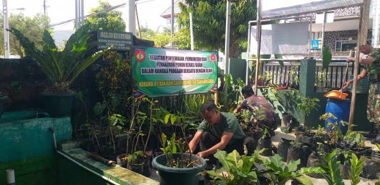 Dukung Program Penghijauan,Babinsa Koramil 01/Banjarnegara Siapkan Pembibitan