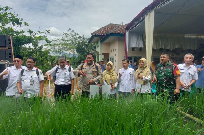 BATITUUD WAKILI DANRAMIL HADIRI KEGIATAN FARM FIELD DAY DI BALAI PENYULUH PERTANIAN 