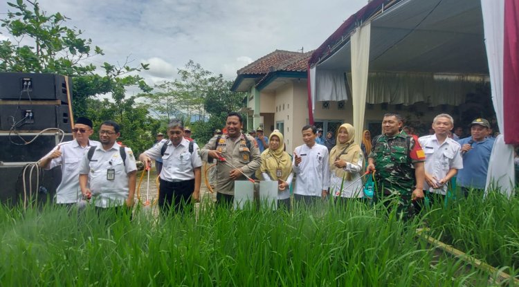 BATITUUD WAKILI DANRAMIL HADIRI KEGIATAN FARM FIELD DAY DI BALAI PENYULUH PERTANIAN 