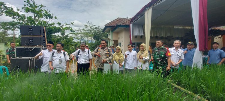BATITUUD WAKILI DANRAMIL HADIRI KEGIATAN FARM FIELD DAY DI BALAI PENYULUH PERTANIAN 